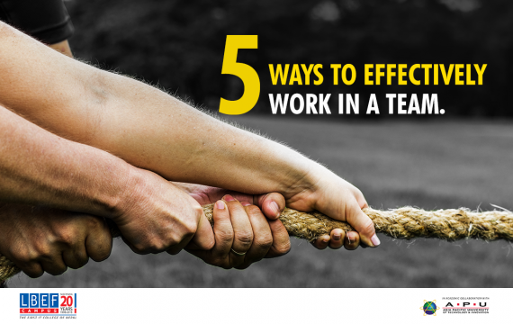 Work in a team